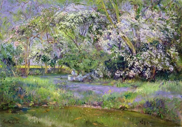 Ruches en forêt