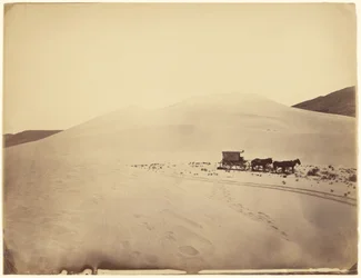 [Collines de sable dans le désert près du Sink de la Carson, Nevada]