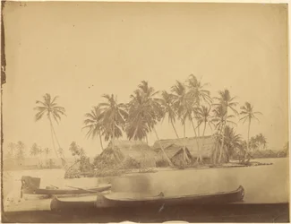 [Baie de Limón, isthme de Darién (Panama)]