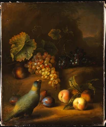Un perroquet avec des raisins, des pêches et des prunes dans un paysage