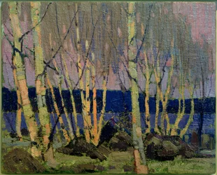 Soir, lac Canoe