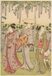 Admiration des glycines au sanctuaire de Kameido