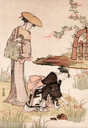 Le jardin des iris, vers 1775-1815