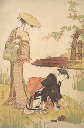 Le jardin des iris