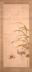 Caille et millet