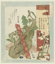 Gabai prune (Hanazono bantsuzuki)
