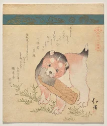 Chiot avec tranche de saumon séché