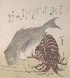 Tai Fish et homard, spécialités de Yanagiya à Odawara-cho