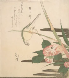 Paruline et camélia, vers 1815-20