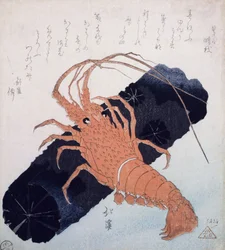 Langoustine avec un bloc de charbon, c.1830