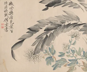 Banana et chrysanthème