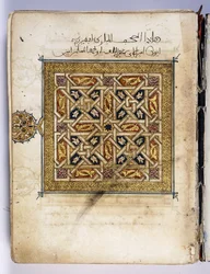 Une feuille d