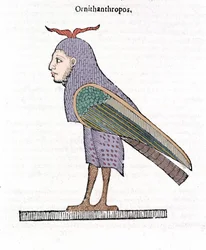 Ornithantropos. Oiseau à tête humaine. Ulisse Aldrovandi "De monstrorum Historia" Bologne 1642