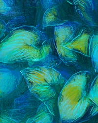 Feuilles bleu-vert chatoyantes