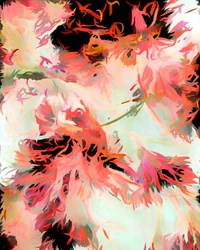 Abstrait floral éclatant