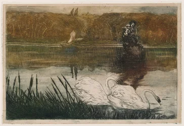 Lac aux cygnes