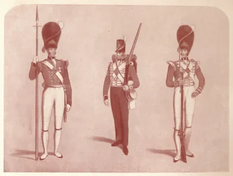 1er ou Régiment de Grenadiers de la Garde en 1815, 1909