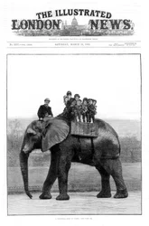 Un dernier tour sur Jumbo, Zoo de Londres