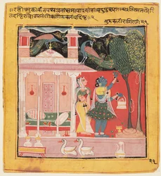 Une dame cueillant des fleurs avec des paons, Gunakali Ragini de Malkos, du Chawand Ragamala, 1605
