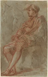 Un jeune homme, XVIe siècle