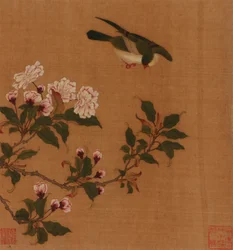 Un oiseau planant au-dessus des branches en fleurs