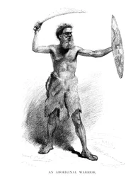 Un guerrier aborigène, 1886
