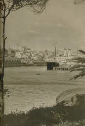 Un paquebot oriental amarré dans la baie de Woolloomooloo, 1937