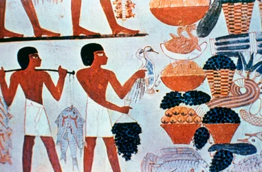 Peintures murales égyptiennes anciennes dans une tombe à Thèbes, Égypte