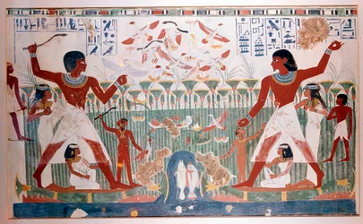Les anciens Égyptiens chassant les oiseaux sauvages avec des bâtons de jet