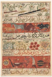Animaux, pierres précieuses, pièces de monnaie et instruments de musique recto..., vers 1341