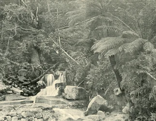 Au puits de Saint-Crépin, 1901