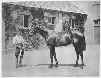Étoile australienne, 1911