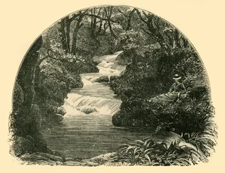 Toboggan de Bagworthy, 1898