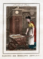 Cuisson ou ébullition des pommes, Stratford Place, Londres, 1805