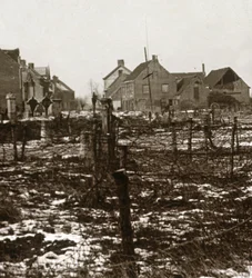 Fil de fer barbelé, Nieuwkapelle, Flandre, Belgique, vers 1914-1918