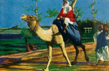 Bédouin à dos de chameau, Égypte, c1928
