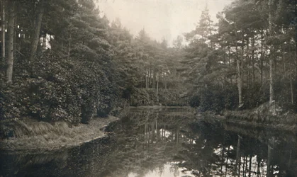 Branksome Chine et le lac, vers 1910