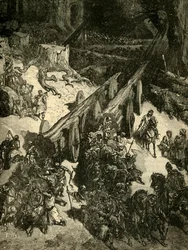 Apportant du cèdre du Liban, 1890