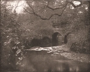 Ruisseau et pont dans la New Forest, Hampshire, 1894