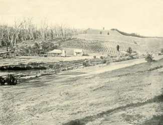Maison de travailleur de brousse, Gippsland, Victoria, 1901