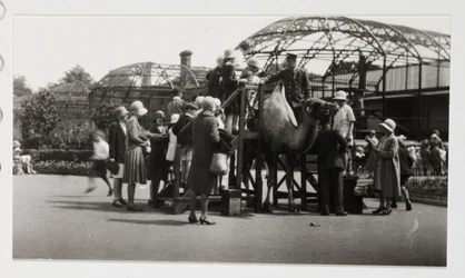 Balade à dos de chameau, vers 1930