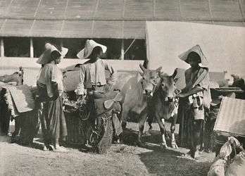 Scène de caravane avec des Shans à Bhamo, 1900