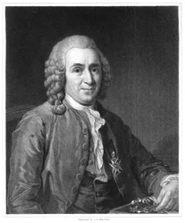 Carolus Linnaeus, naturaliste suédois du 18e siècle, 1835