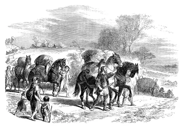 Transport de pain à Londres sur des chevaux de bât, vers 1895