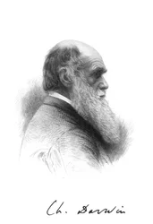 Charles Darwin, naturaliste anglais, vers 1880