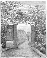 Charles Darwin dans le sentier de sable à Down House, vers 1870-1887