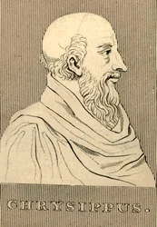 Chrysippe