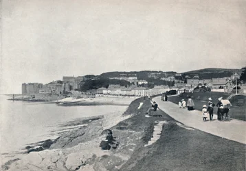 Clevedon - La Plage Verte, 1895