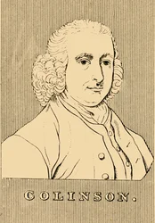 Colinson