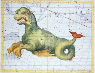 Constellation de la Baleine (Cetus), 1729